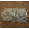 Ripetente Sparrow Control Trap Wire Cage